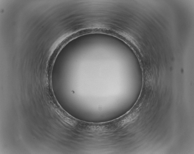 X0000067950927200604201427