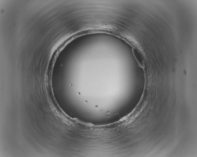 X0000067950928200604201427