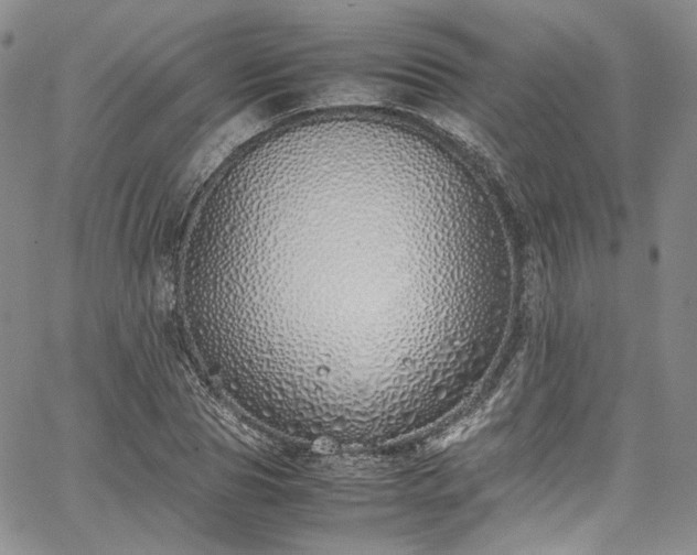 X0000067950929200604201427