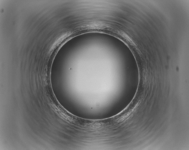 X0000067950930200604201427