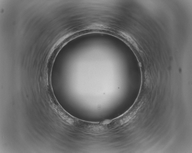 X0000067950931200604201427