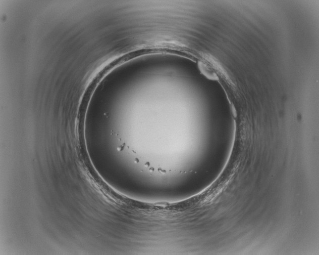 X0000067950932200604201427