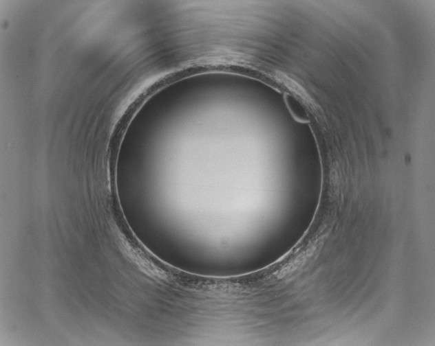 X0000067950934200604201427