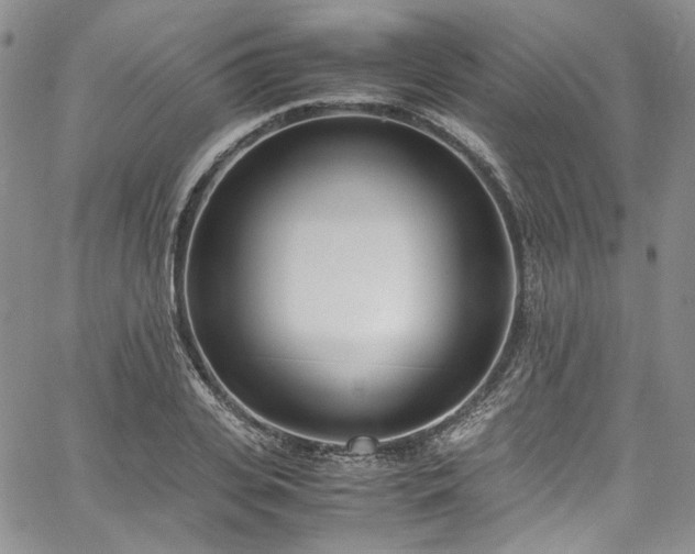 X0000067950935200604201427