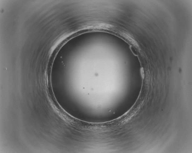 X0000067950936200604201427