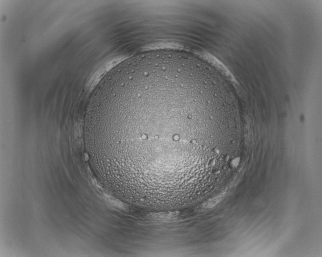 X0000067950937200604201427