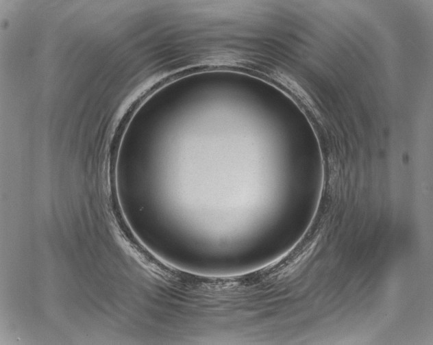 X0000067950939200604201427