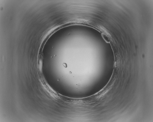 X0000067950940200604201427