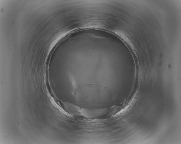 X0000067950941200604201427