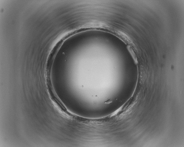 X0000067950942200604201427