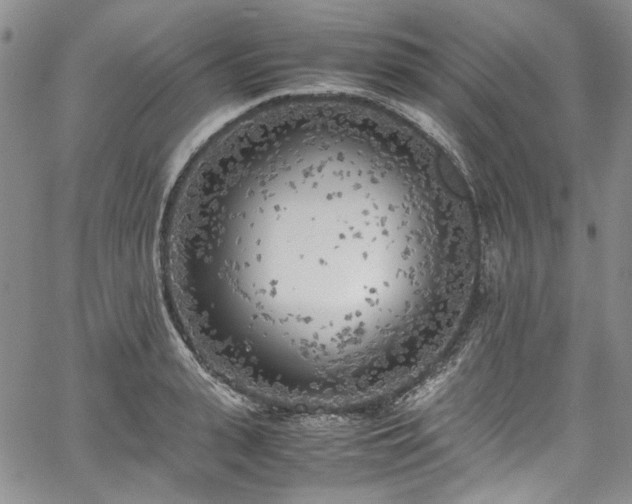 X0000067950943200604201427