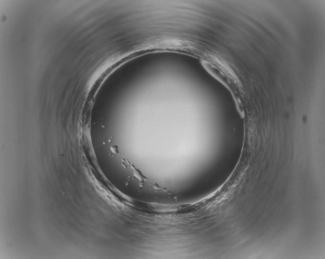 X0000067950944200604201428