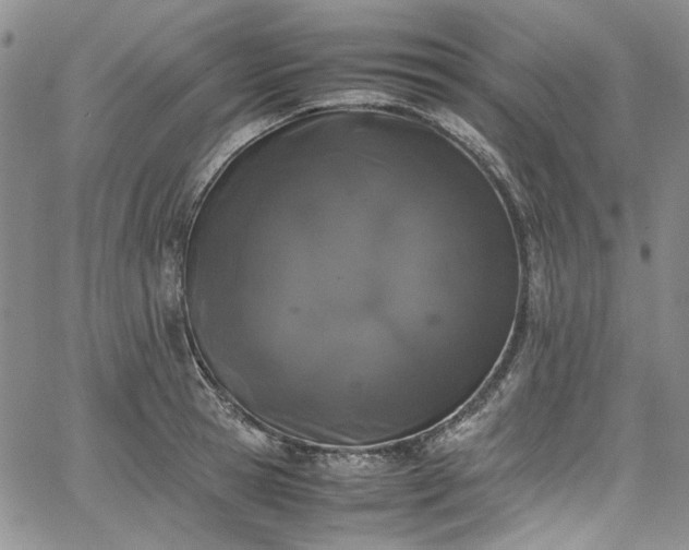 X0000067950945200604201428