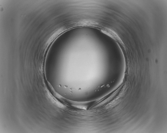 X0000067950946200604201428