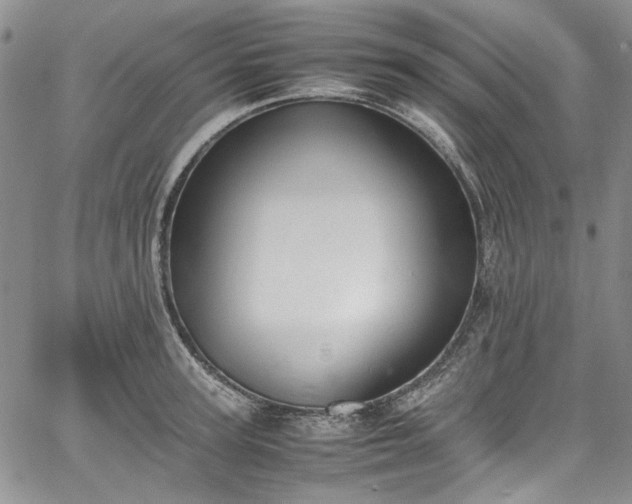 X0000067950947200604201428