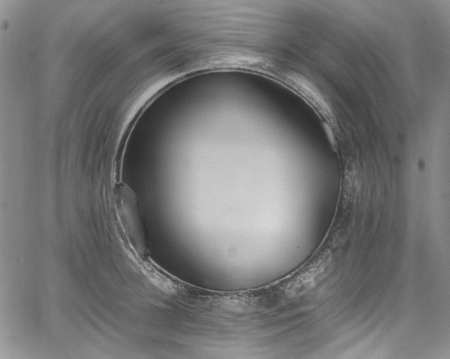 X0000067950948200604201428