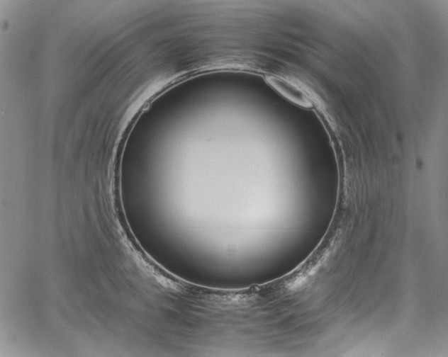 X0000067950949200604201428