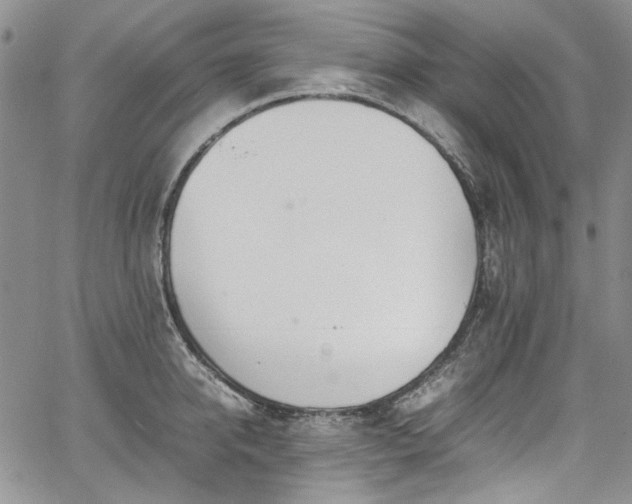 X0000067950950200604201428