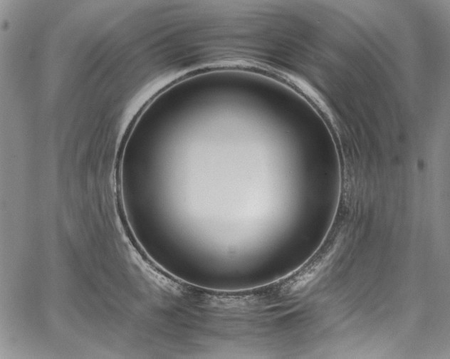 X0000067950951200604201428