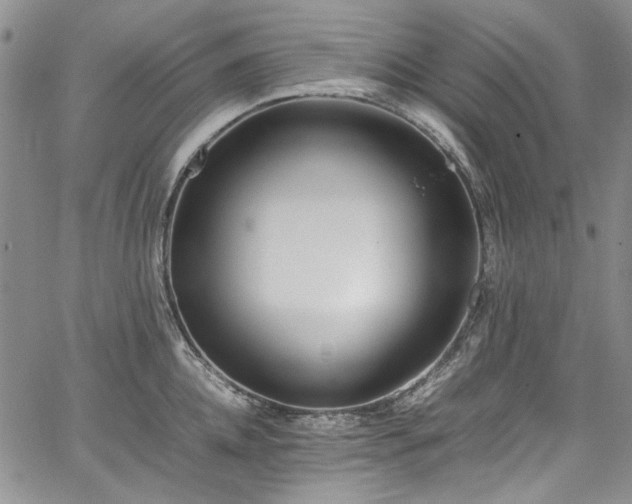 X0000067950952200604201428