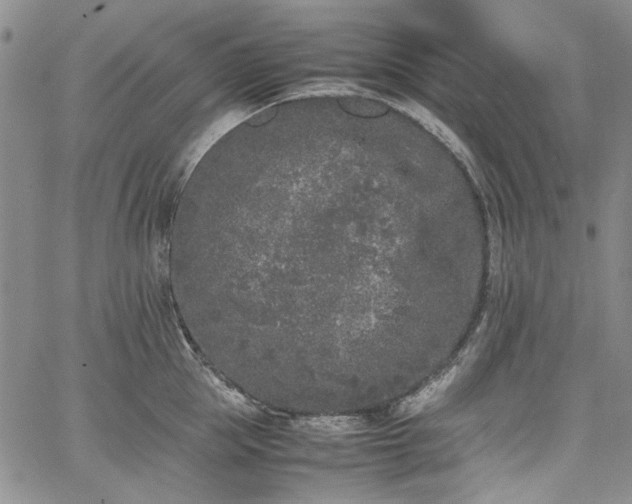 X0000067950953200604201428