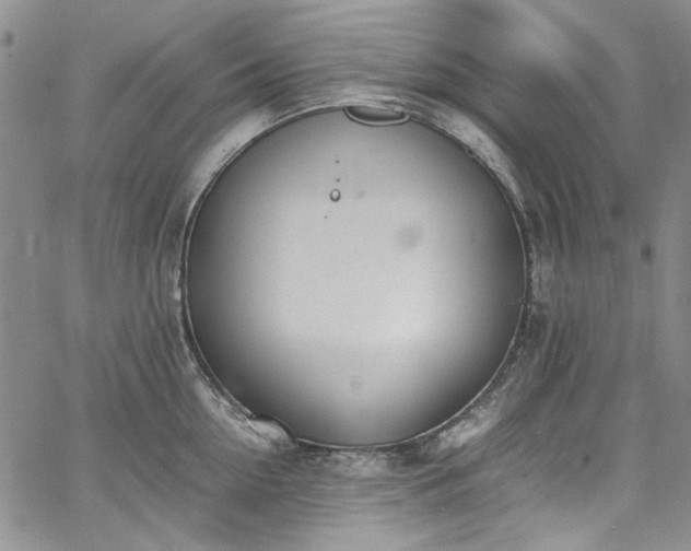 X0000067950954200604201428