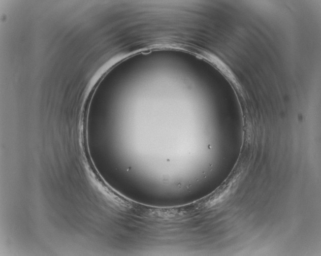 X0000067950955200604201428