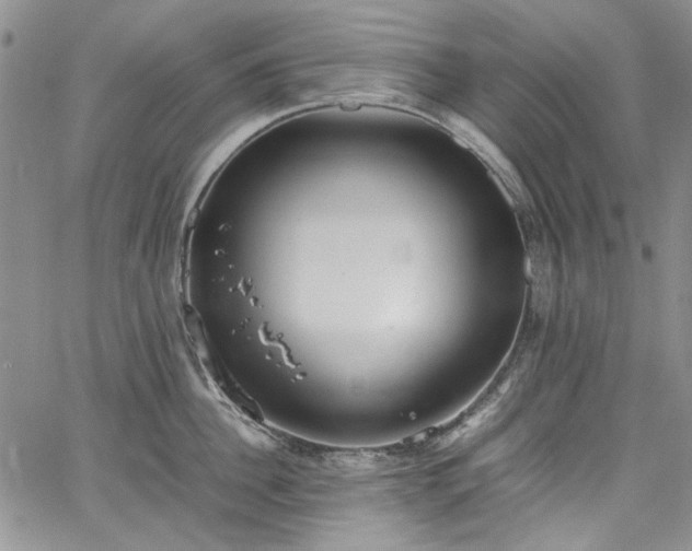 X0000067950956200604201428