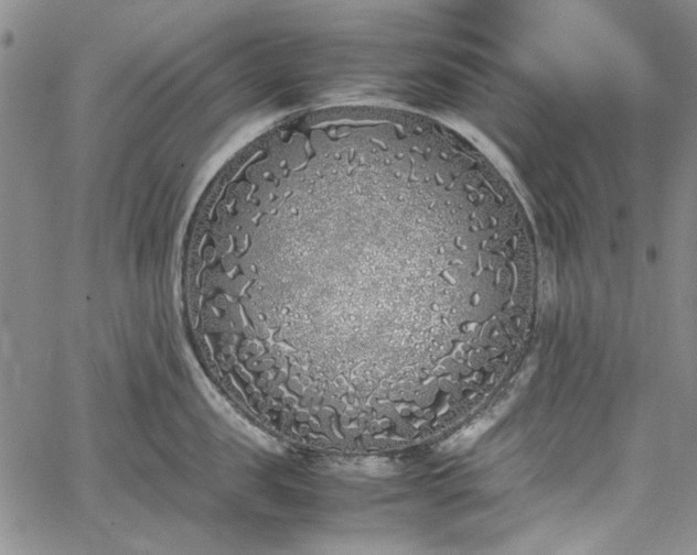 X0000067950957200604201428