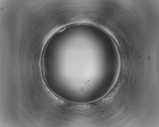 X0000067950959200604201428