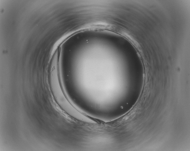 X0000067950960200604201428