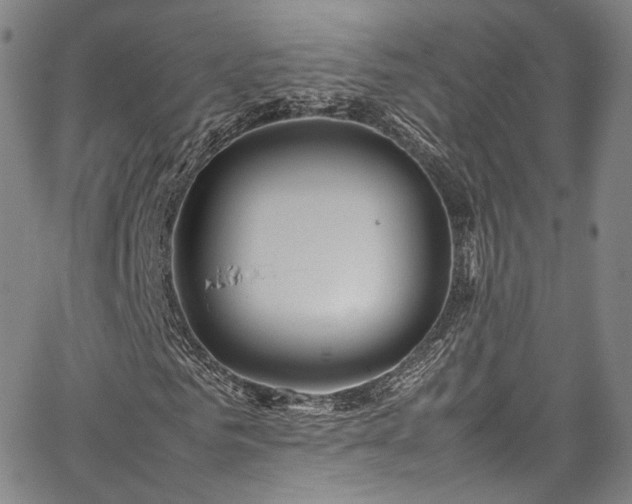 X0000067950961200604201427