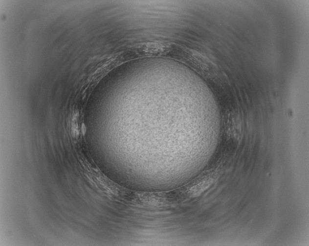 X0000067950962200604201427