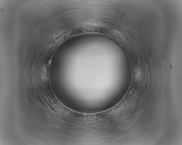 X0000067950964200604201427