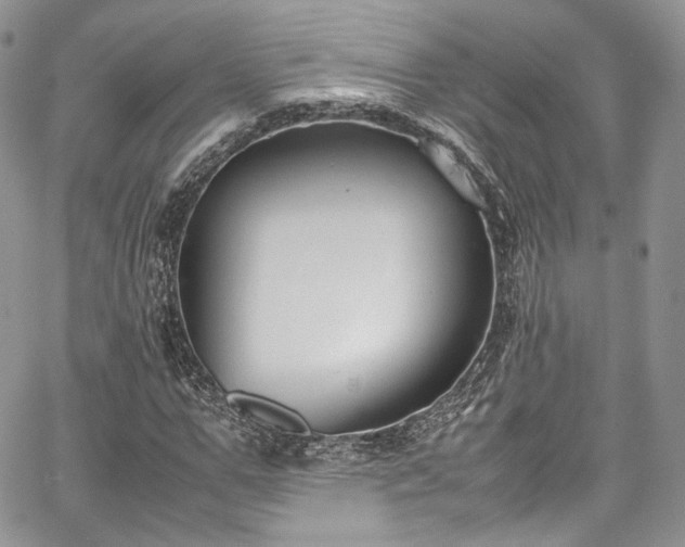 X0000067950967200604201427