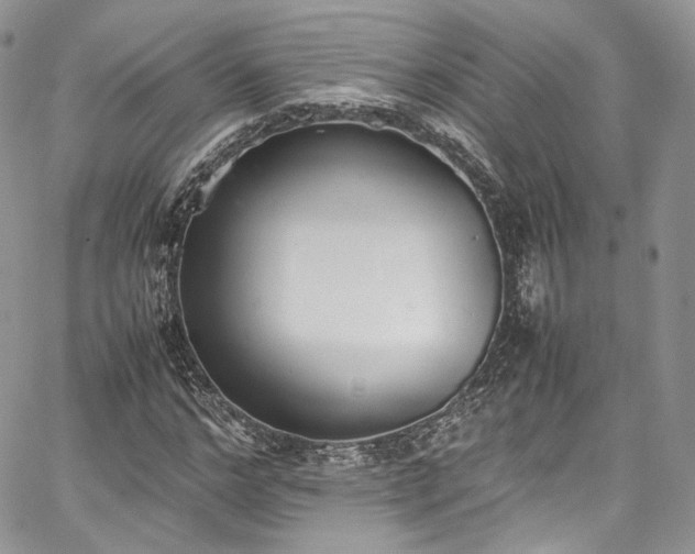 X0000067950968200604201427