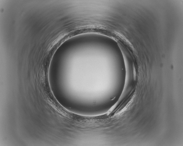 X0000067950969200604201427