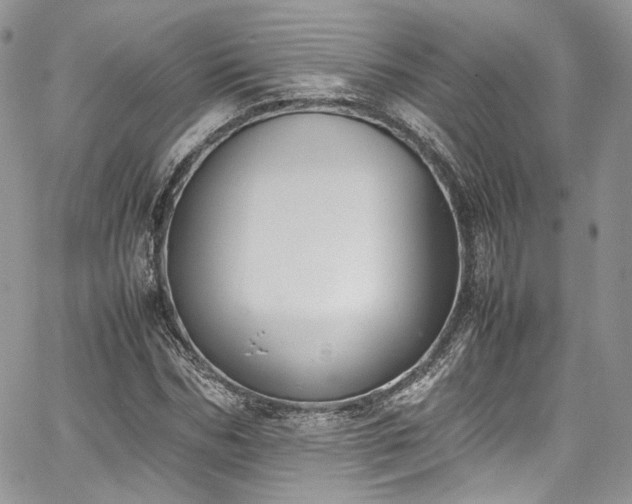 X0000067950970200604201427