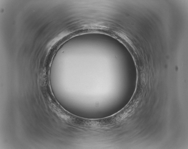 X0000067950971200604201427