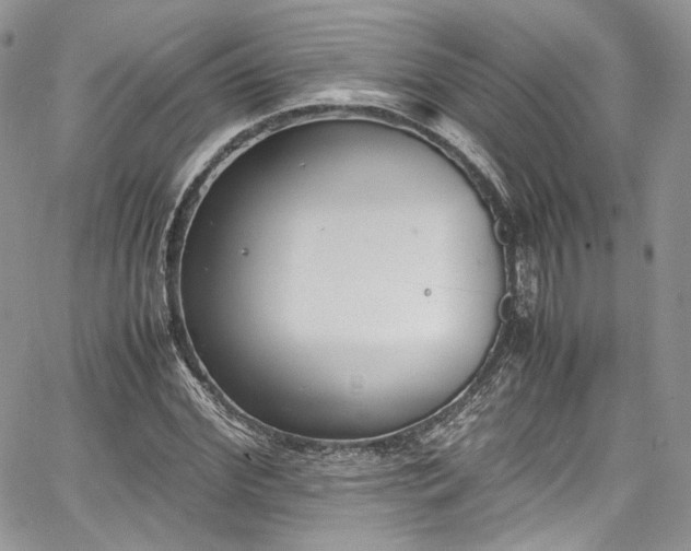 X0000067950972200604201427