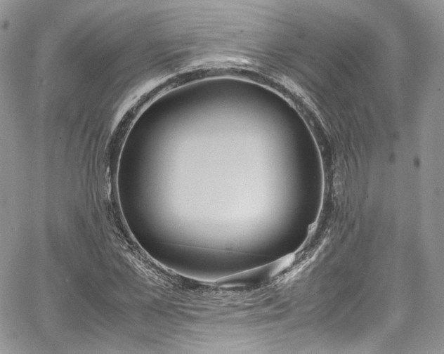 X0000067950973200604201427