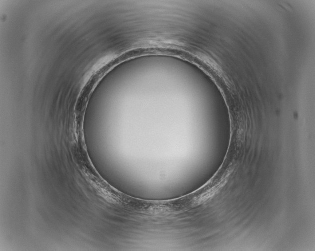 X0000067950974200604201427