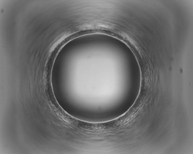 X0000067950975200604201427