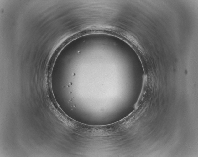 X0000067950976200604201427