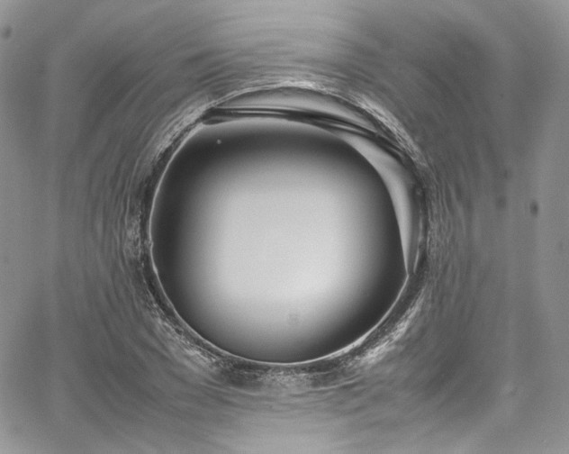 X0000067950977200604201427