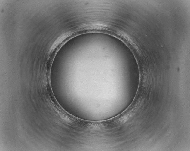 X0000067950978200604201427