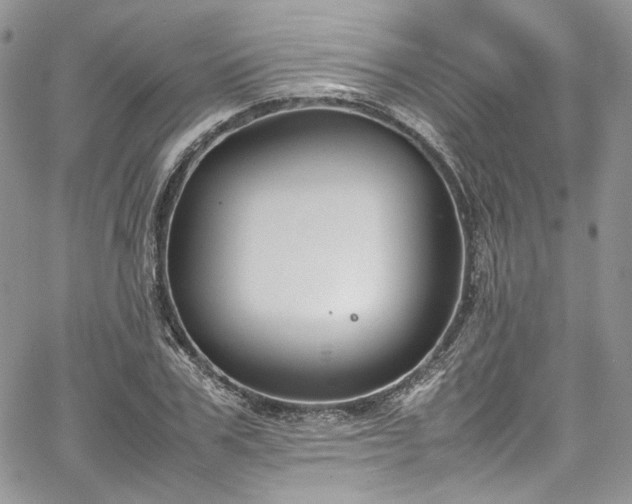 X0000067950979200604201427