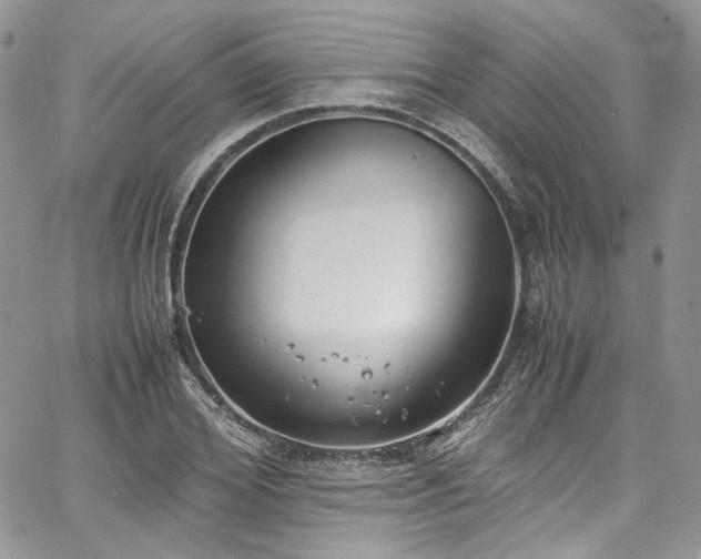 X0000067950980200604201427