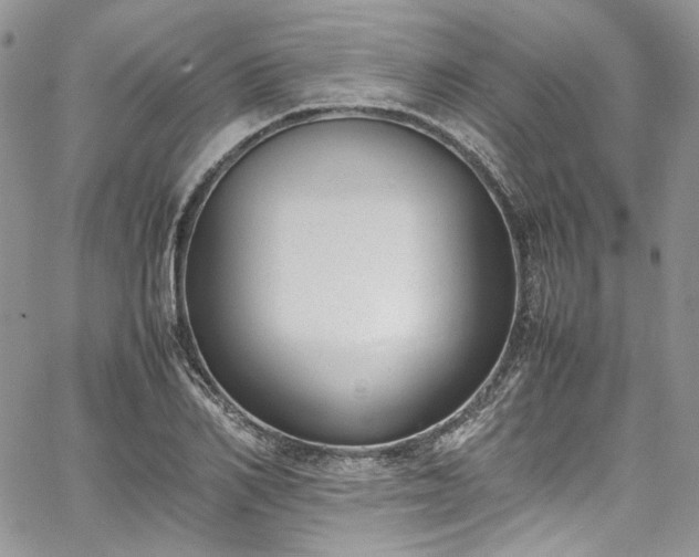 X0000067950982200604201427