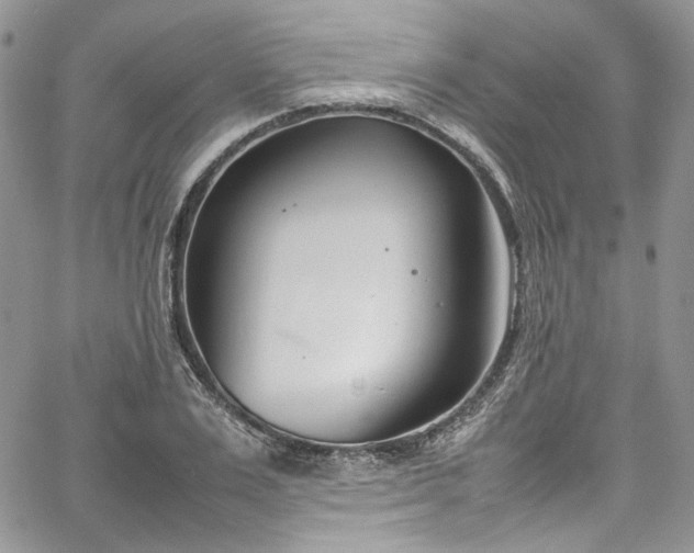 X0000067950983200604201427